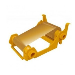 800033-306 - Zebra Ribbon Monocromático Dorado