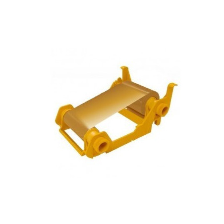 800033-306 - Zebra Ribbon Monocromático Dorado